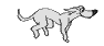 собака анимированные-изображения-gif